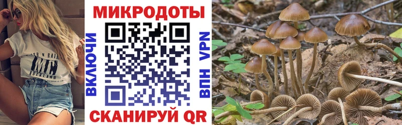 OMG маркетплейс  Стрежевой  Галлюциногенные грибы Magic Shrooms 